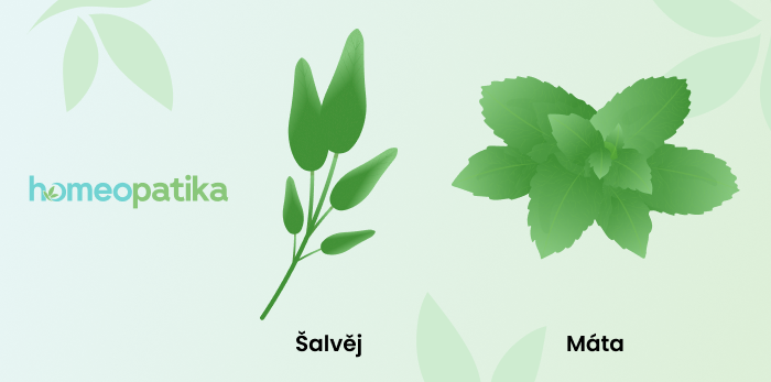  bylinky pro zastavení laktace