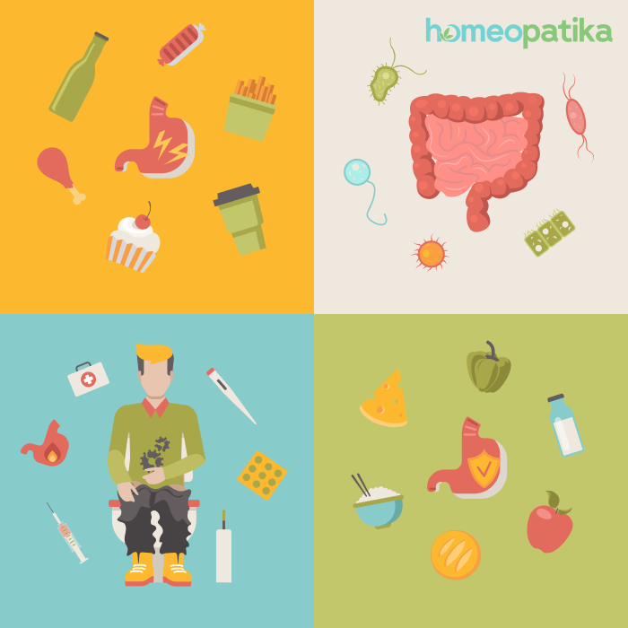  co přispívá ke zdravému fungování střev