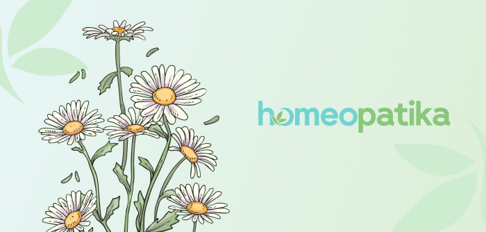  heřmánek na uvolnění svalstva