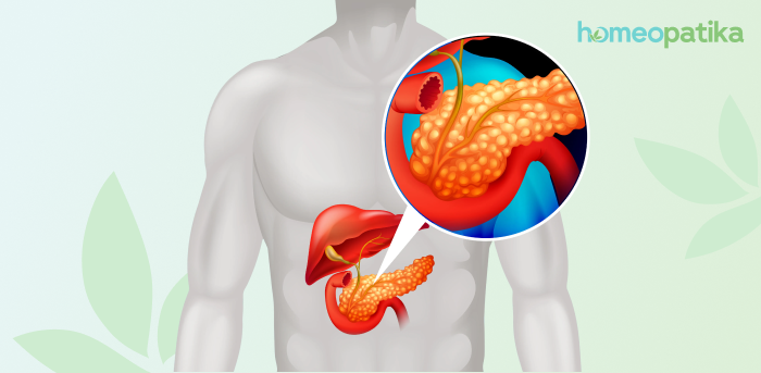  kde je v těle slinivka