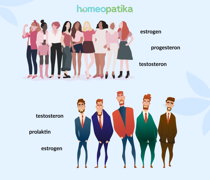  mužské a ženské hormony