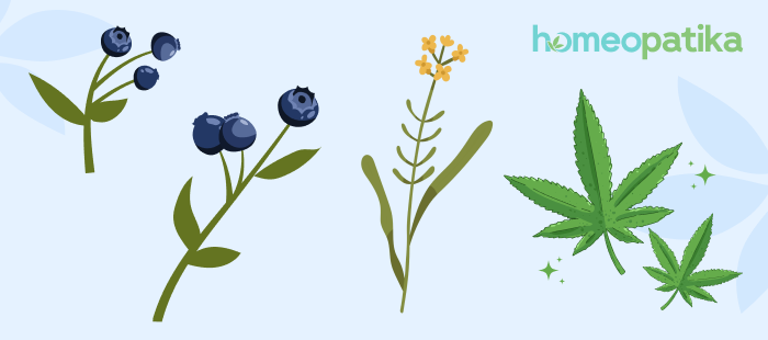  přírodní léčba zraku a nitroočního tlaku