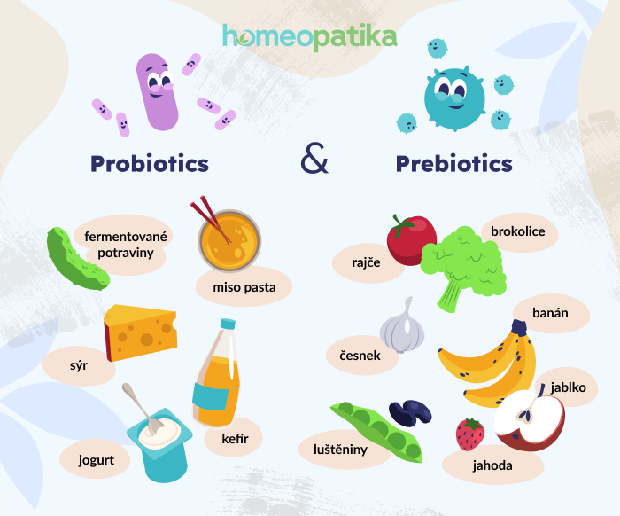 synergie probiotik a probiotik