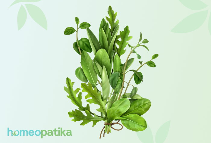  byliny na alergickou rýmu