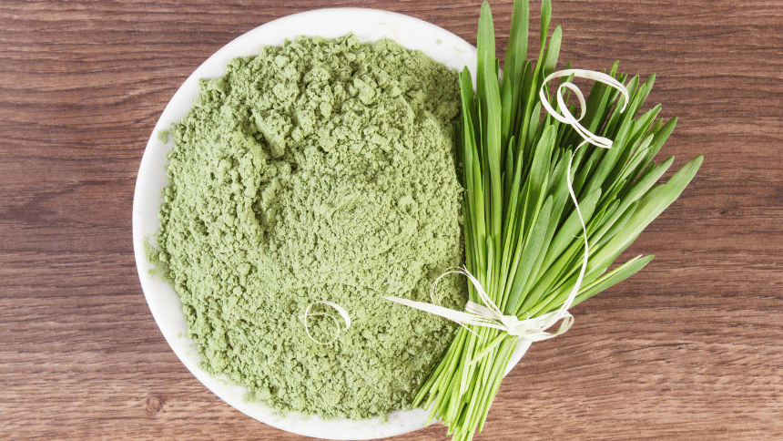 ječmen obsahující beta glukan.