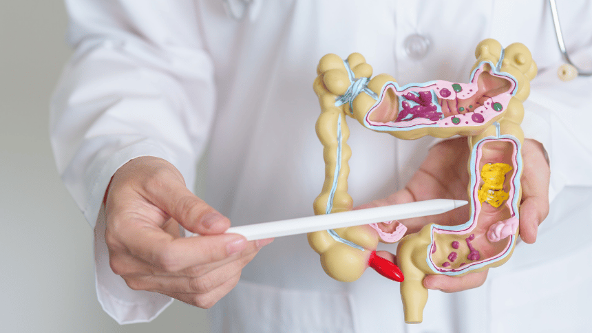Doktor vysvětlující funkci střev.