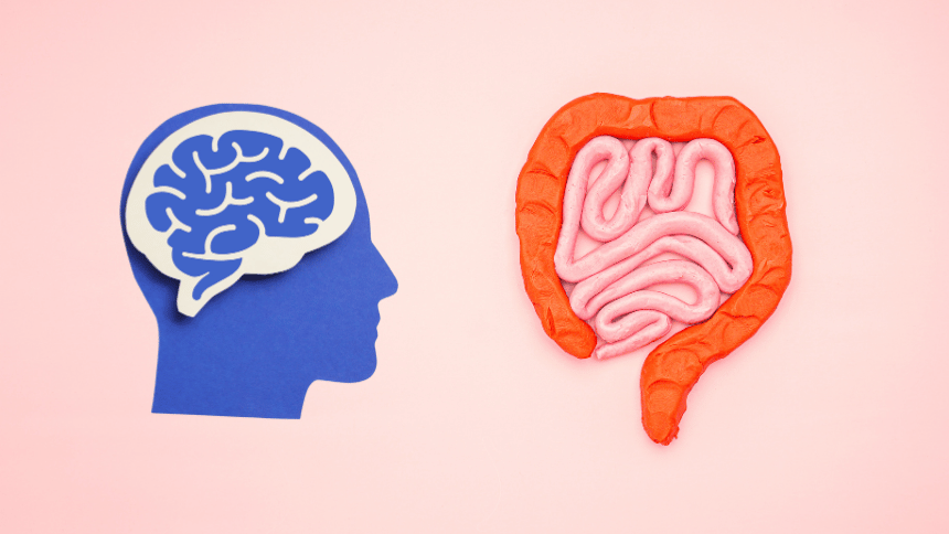 Osa mozek střevo, které jsou na sobe navázané.