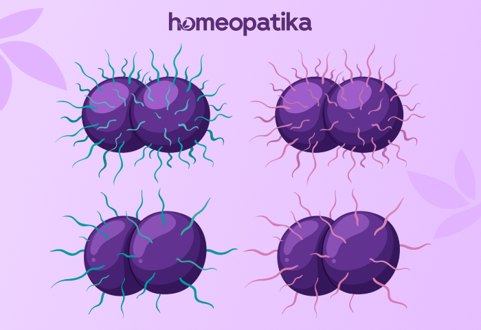  podoba bakterie kapavky