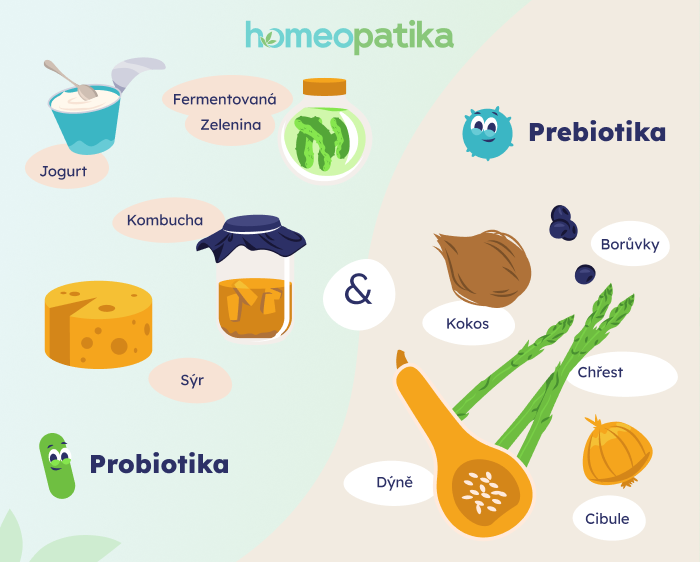  kde najdeme probiotika a prebiotika