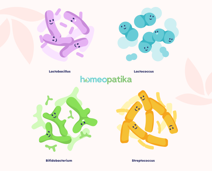  jak vypadají probiotika