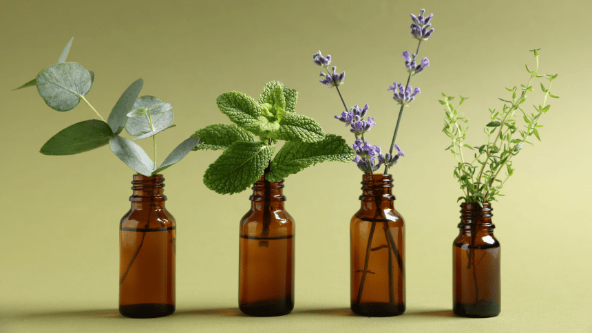 Ruční sběr českých bylin.