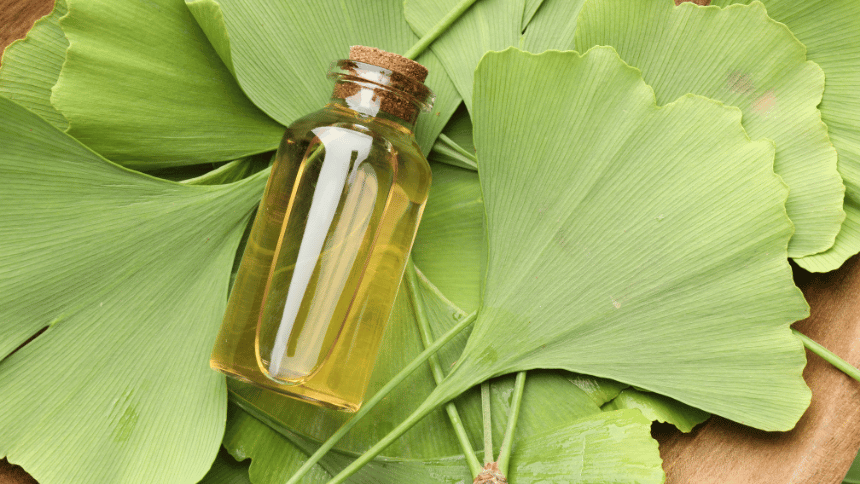 Listy ginko biloby s olejem z této byliny.