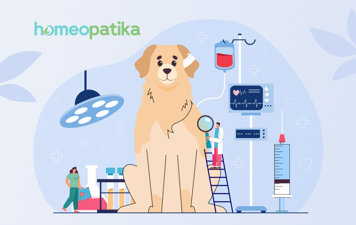  veterinární homeopatie