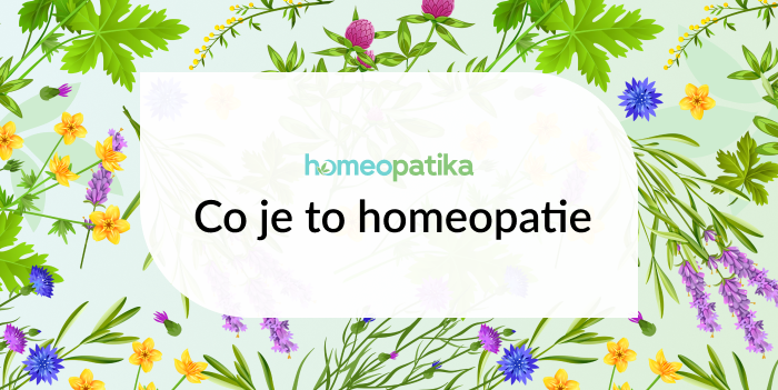  co je homeopatie