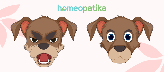  emoční stabilita psů pomocí homeopatik