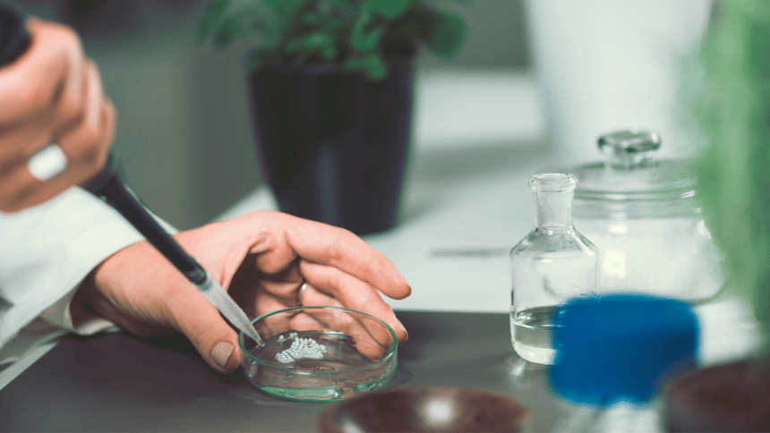 Příprava homeopatika dle standardů. 