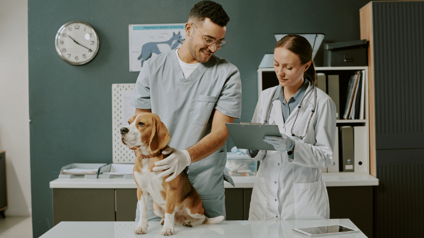 veterinární vyšetření feny.