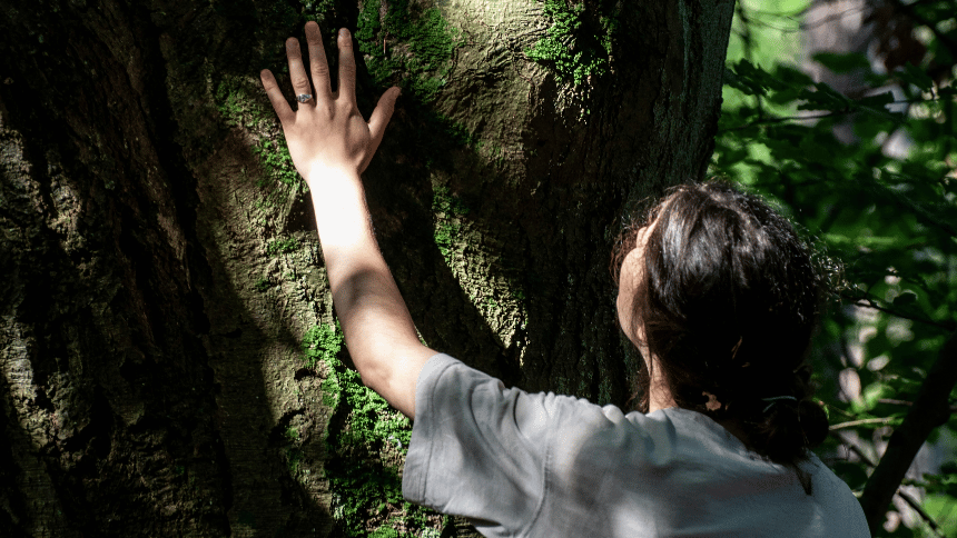 čerpání přírodní energie.