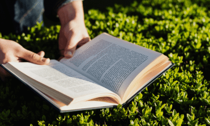 čtení knihy v přírodě.