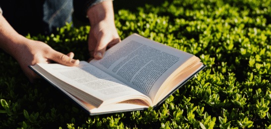 čtení knihy v přírodě.