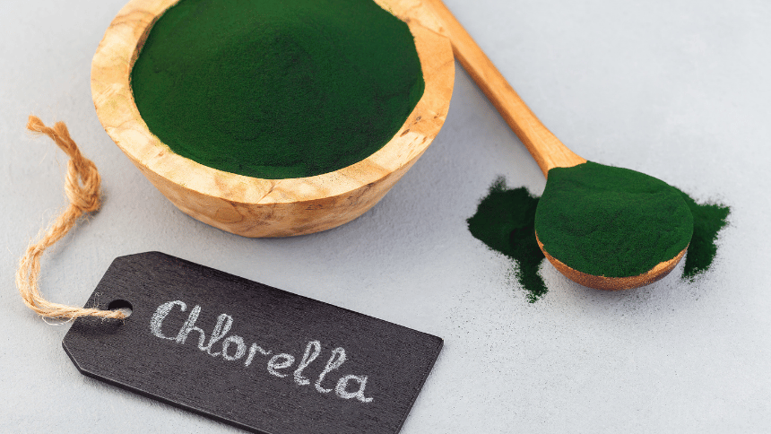 Chlorella v misce.
