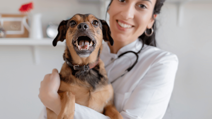 veterinářka držící spokojeného psa.