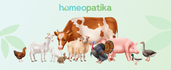  hospodářská zvířata